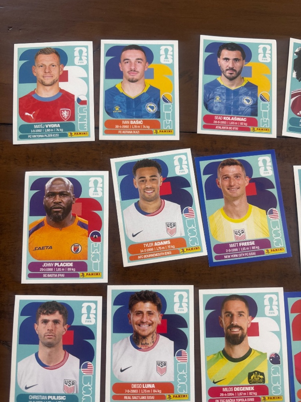 Panini - Picture 2 of 4